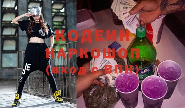 хмурый Арсеньев