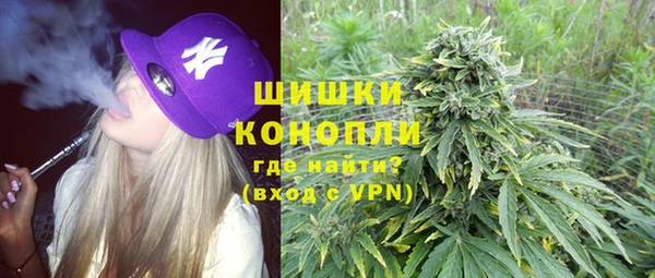 хмурый Арсеньев