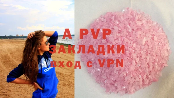хмурый Арсеньев