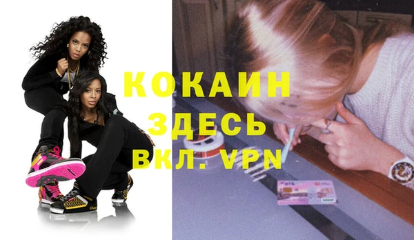 хмурый Арсеньев