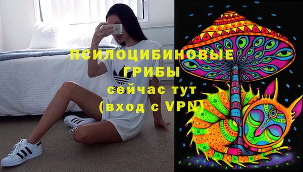 ГАЛЛЮЦИНОГЕННЫЕ ГРИБЫ Армянск
